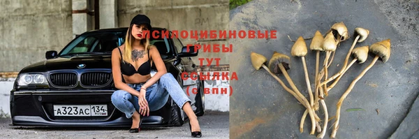 синтетический гашиш Абдулино