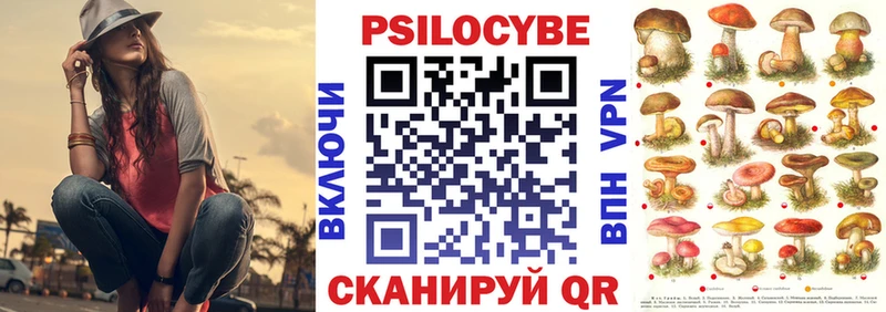 OMG зеркало Электроугли Псилоцибиновые грибы ЛСД
