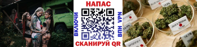 мега как зайти Электроугли Бошки Шишки Ganja